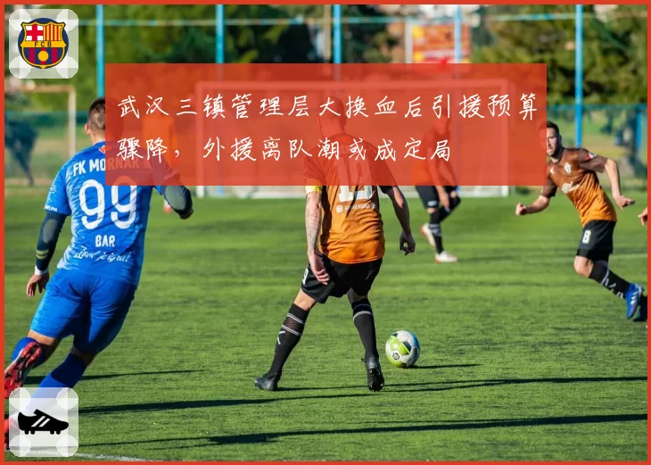 武汉三镇管理层大换血后引援预算骤降,外援离队潮或成定局