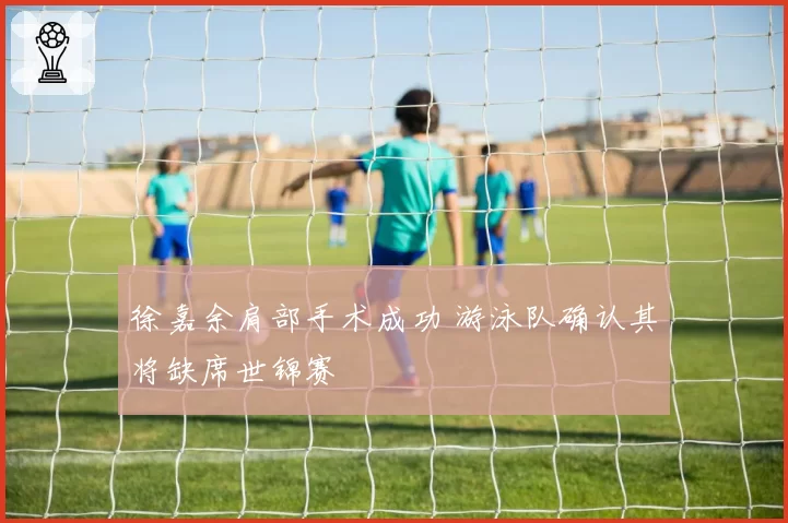 徐嘉余肩部手术成功 游泳队确认其将缺席世锦赛