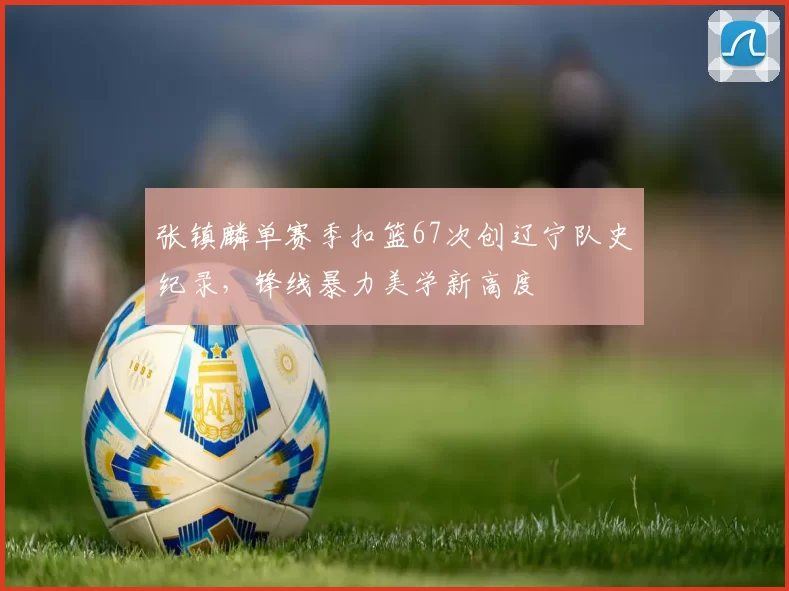 张镇麟单赛季扣篮67次创辽宁队史纪录,锋线暴力美学新高度