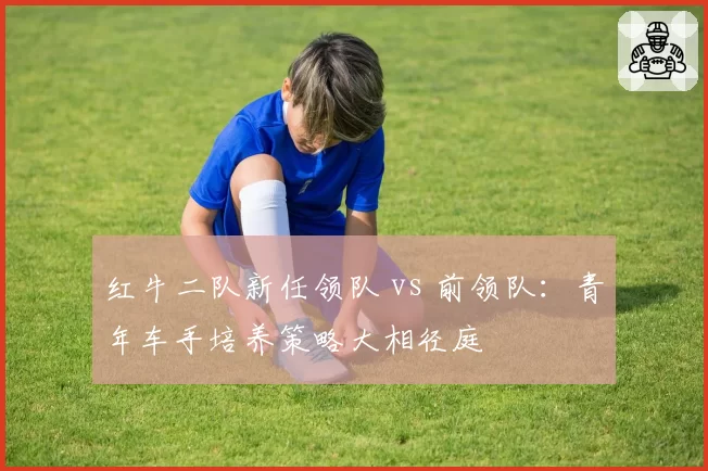 红牛二队新任领队 vs 前领队:青年车手培养策略大相径庭