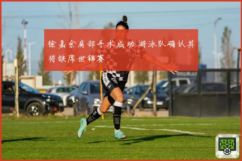 徐嘉余肩部手术成功 游泳队确认其将缺席世锦赛